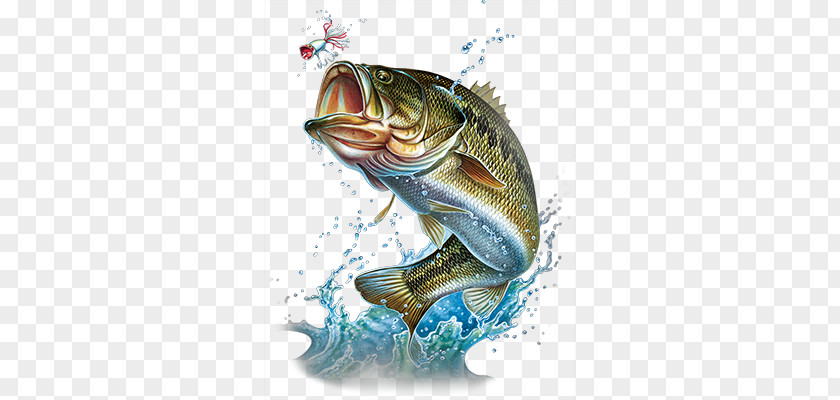 Largemouth Bass Fishing PNG bass fishing , Fishing, green illustration clipart PNG