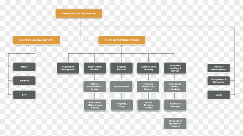 Organization Chart Organizational Chief Operating Officer Executive Structure PNG