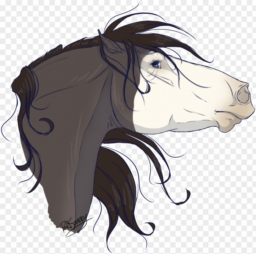 Professional Horse Head Portraits Mustang Cat Illustration Mammal Hair PNG