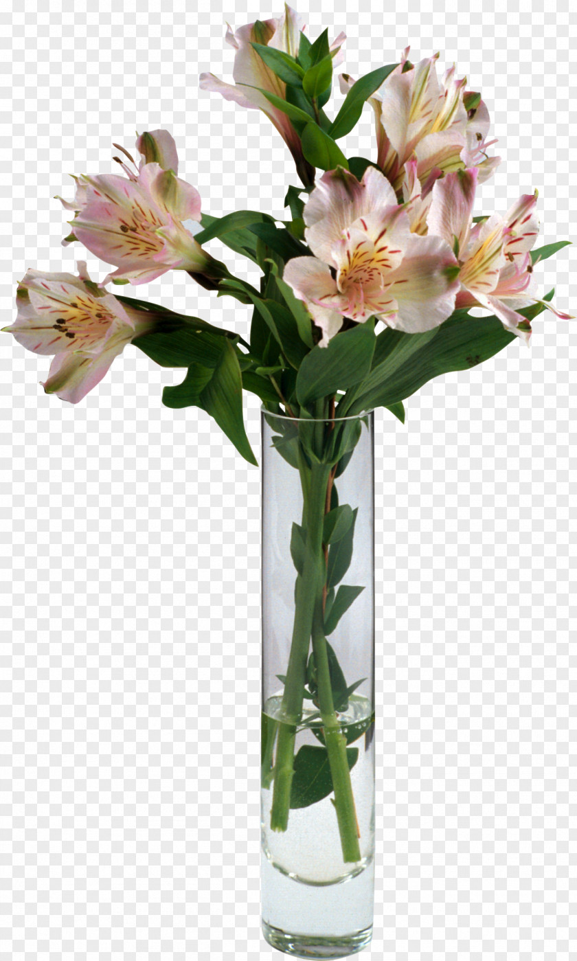 Waterflower Cut Flowers Floral Design Plant PNG
