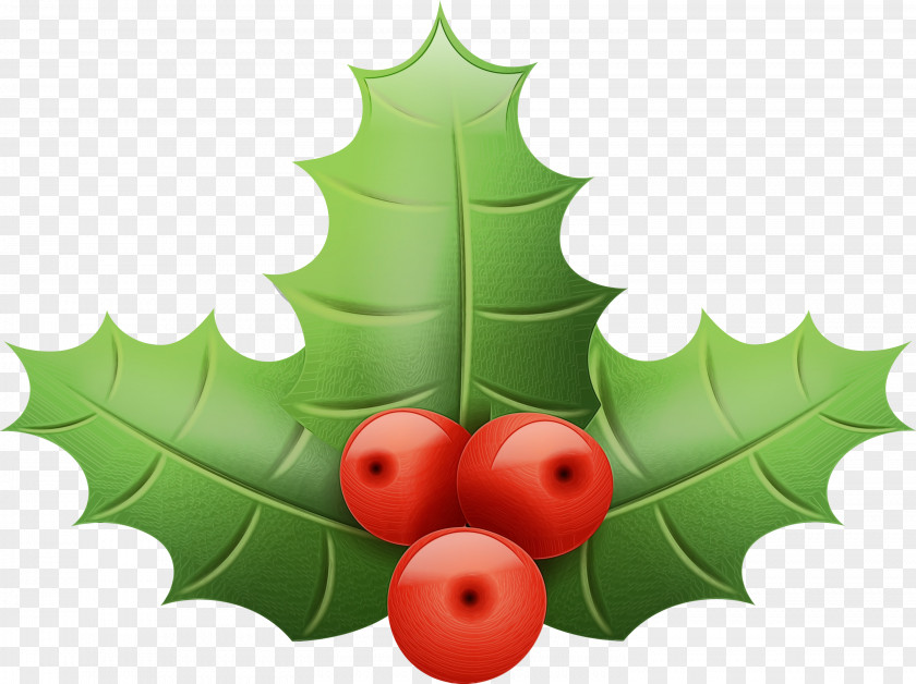 Christmas Decoration Hollyleaf Cherry Tree PNG