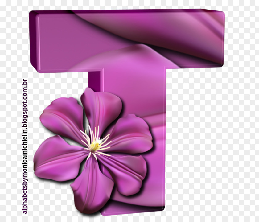 Flowers Letter O Alphabet Penguin Purple Flower Flora PNG