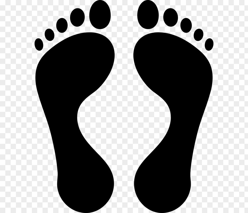 Footprints Footprint Clip Art PNG