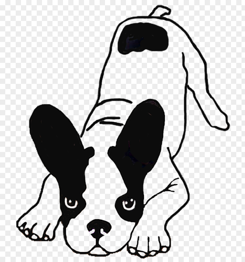 Puppy Boston Terrier French Bulldog Dog Breed PNG