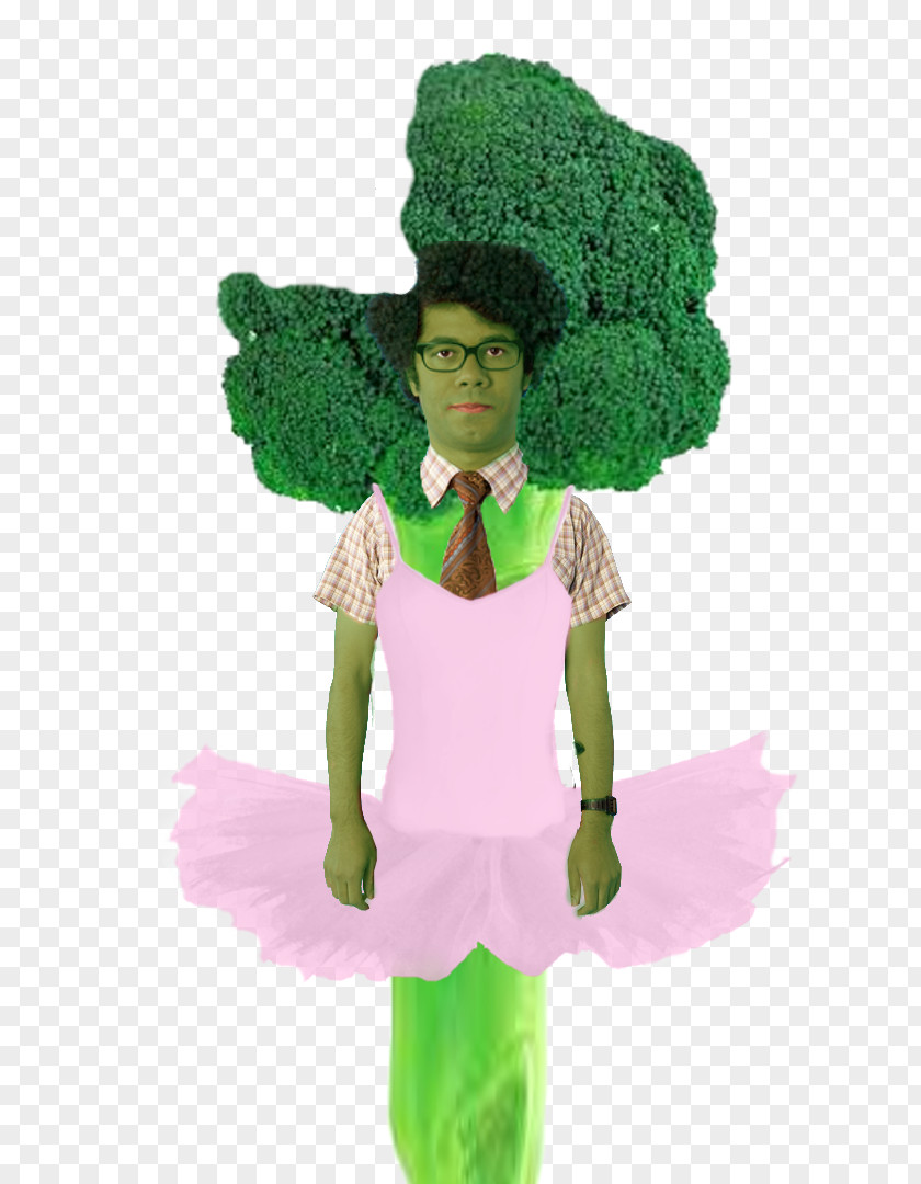 Romanesco Broccoli The IT Crowd Character Costume Leaf Fiction PNG