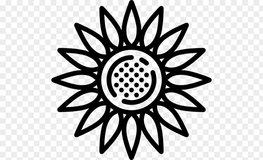 Sun Flower Vector Common Sunflower PNG