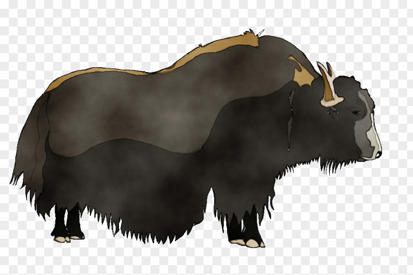 Animal Figure Bull Yak Bovine Terrestrial Wildlife Ox PNG