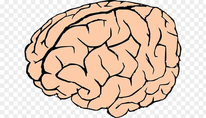 Brain Games Cliparts Human Clip Art PNG