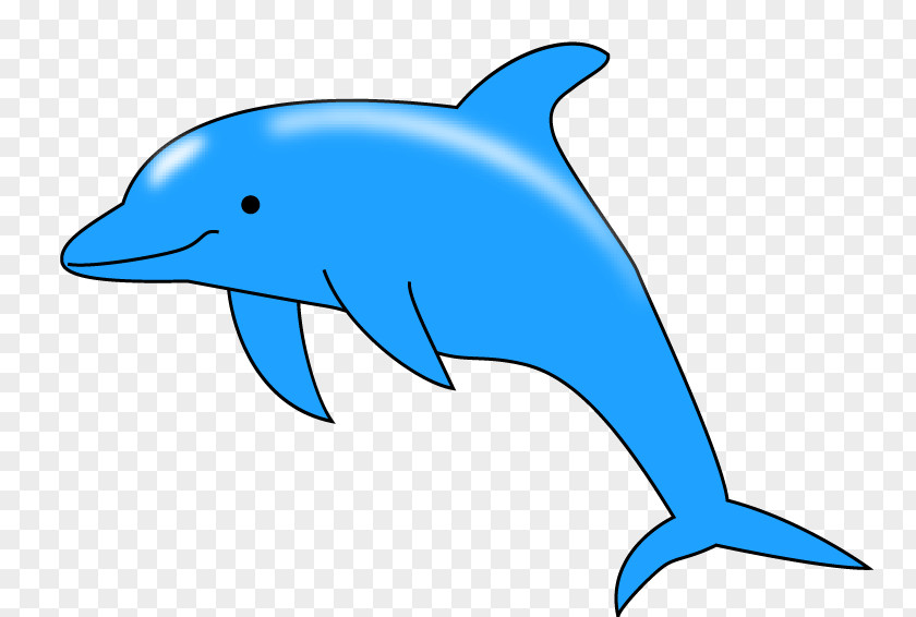 Dolphin Common Bottlenose Porpoise Rough-toothed Tucuxi Wholphin PNG