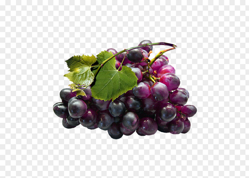 Grape Seed Extract Grapevines PNG