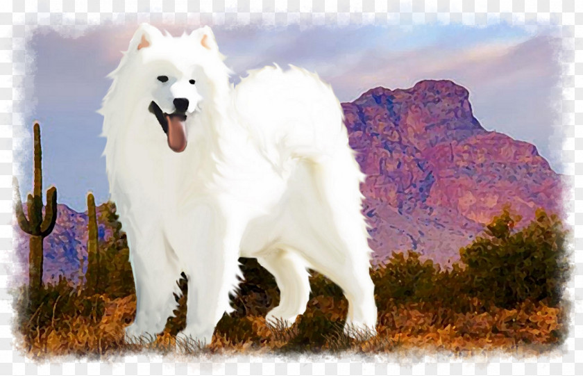 Samoyed Dog Breed Canadian Eskimo White Shepherd American PNG