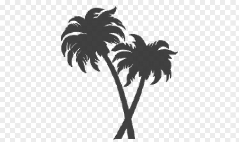 Tree Arecaceae Sticker Bismarckia Decal PNG