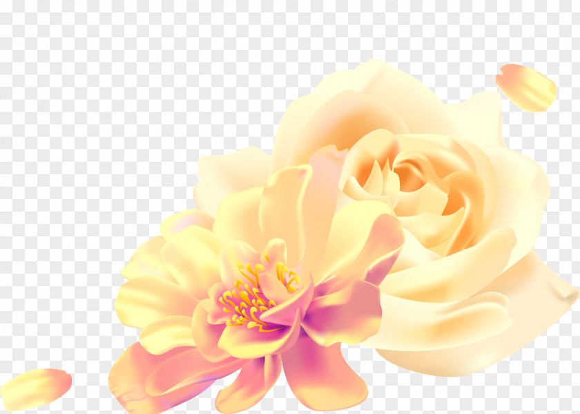 Two Flowers Roses Valentines Day PNG