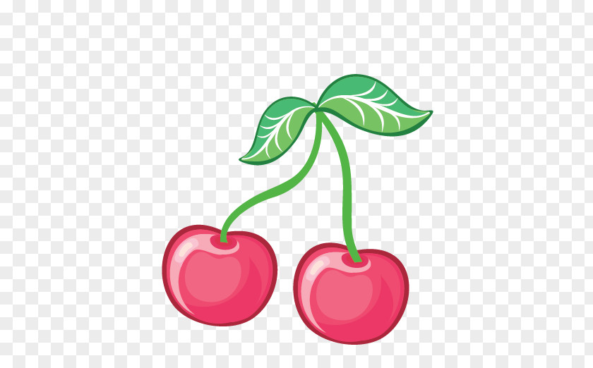 Cherry Fruit Cerasus PNG