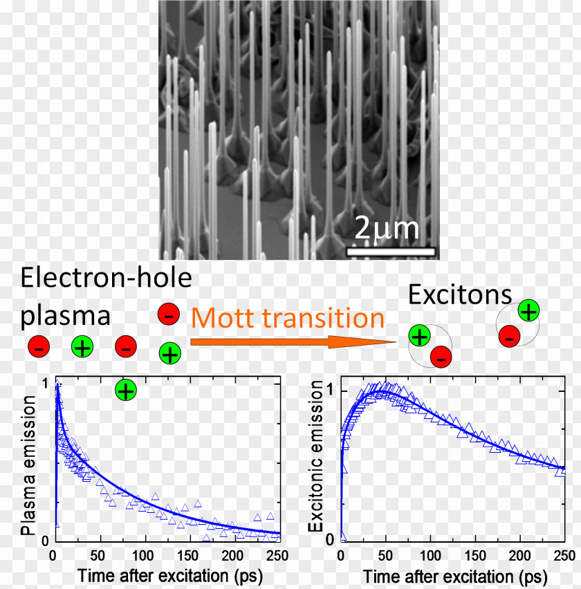 Exciton Nanowire Electron Hole Semiconductor PNG
