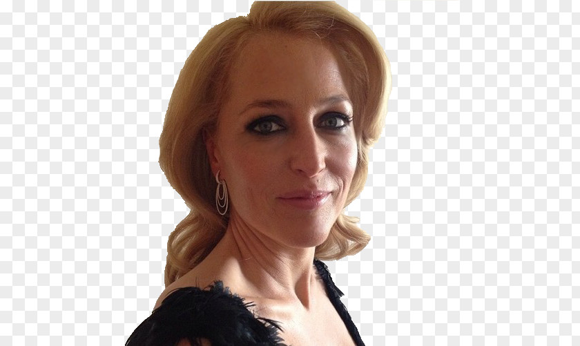 Golden Globe Gillian Anderson Dana Scully Photography PNG