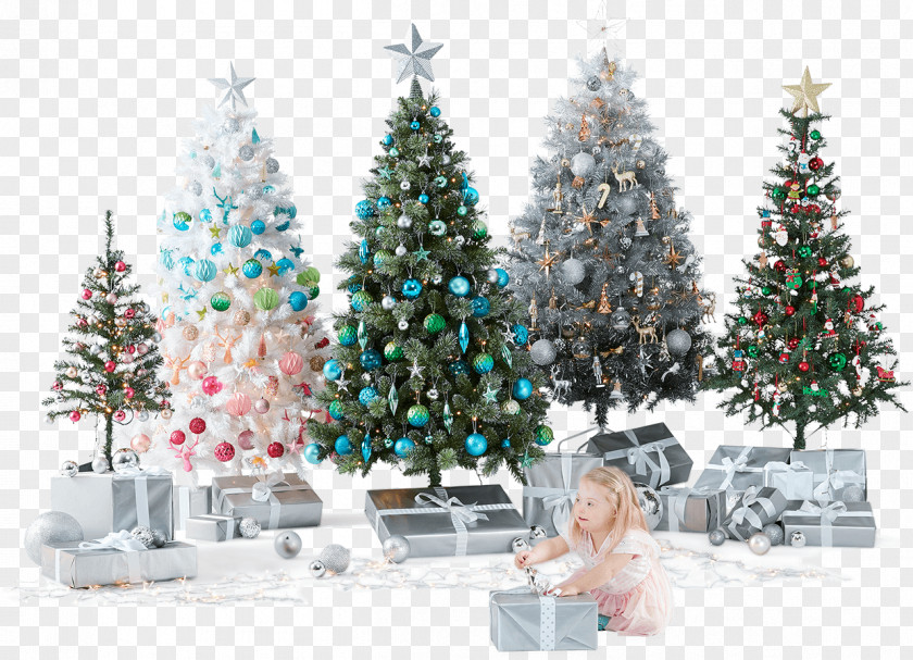 Christmas Shopping Huan Tree Fir Decoration Spruce PNG