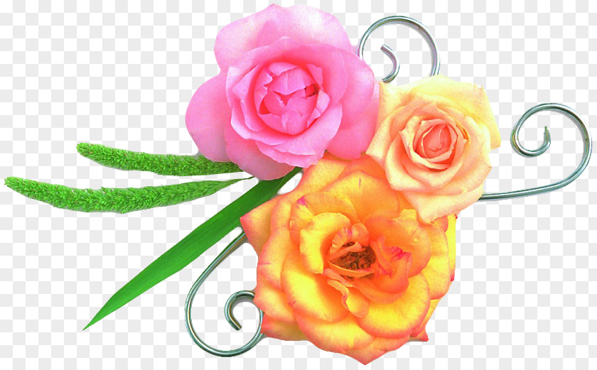 Flower Garden Roses News Child God PNG