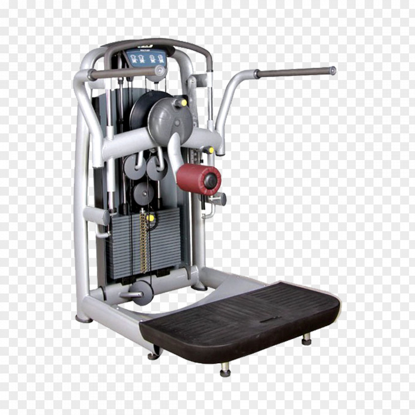 Gyms In Stone Sm Pro Fitness Centre Physical Exercise Equipment Machine PNG