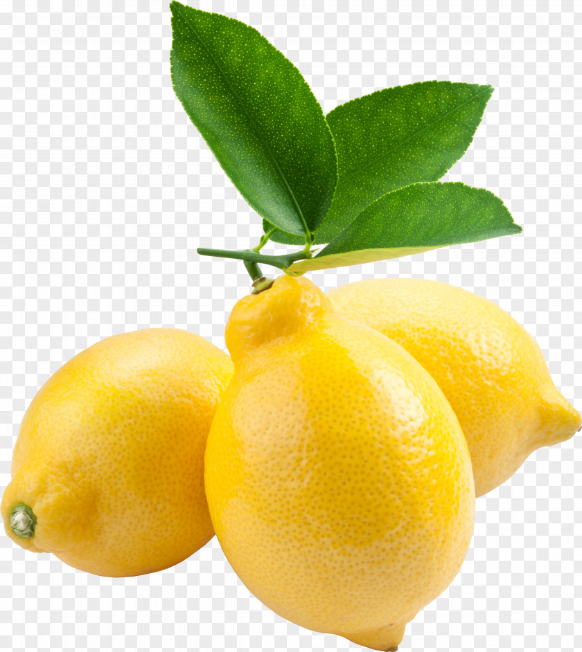 Lemon Tangerine Key Lime Yellow Fruit PNG