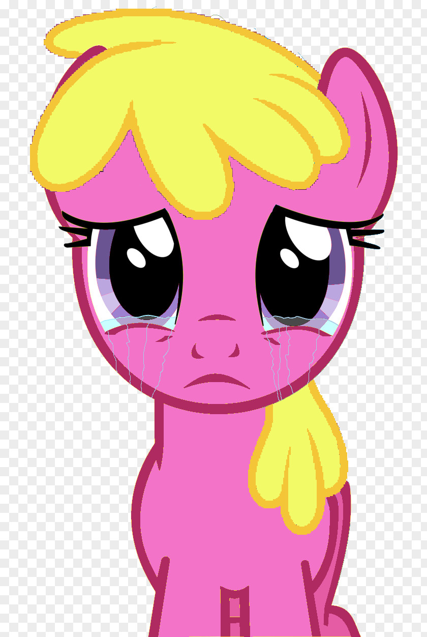 My Little Pony Derpy Hooves Applejack Pinkie Pie Rainbow Dash PNG