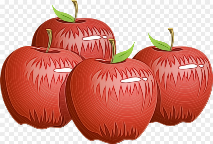 Superfood Food Natural Foods Fruit Red Apple Plant PNG