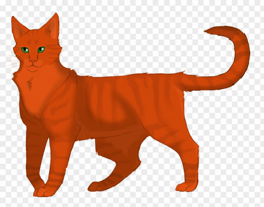 Warriors Cats Of The Clans Firestar Erin Hunter PNG