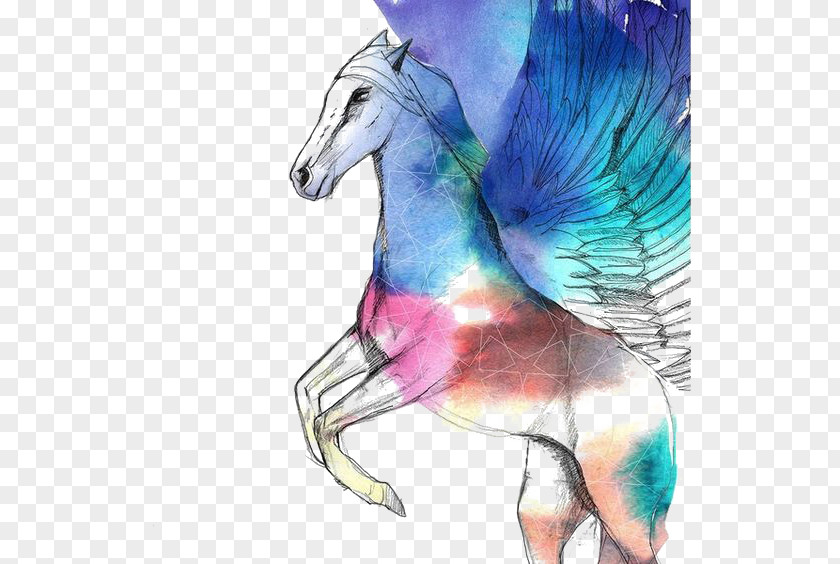 Watercolor Pegasus Horse Painting Illustration PNG