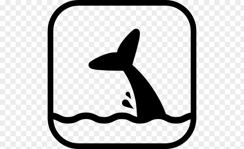 Whale Clip Art PNG