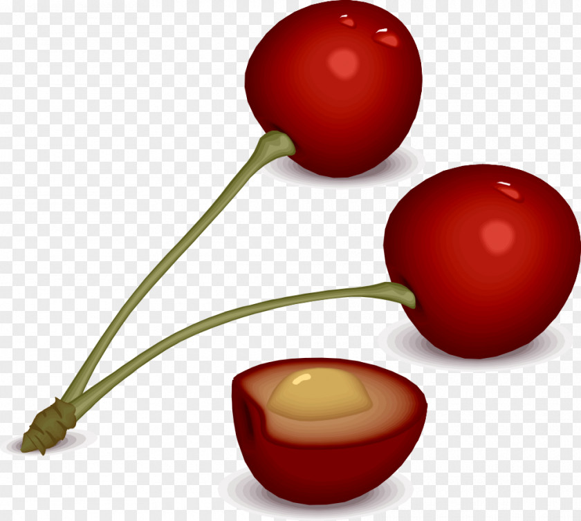 Cherries Cherry Pie Blossom Clip Art PNG