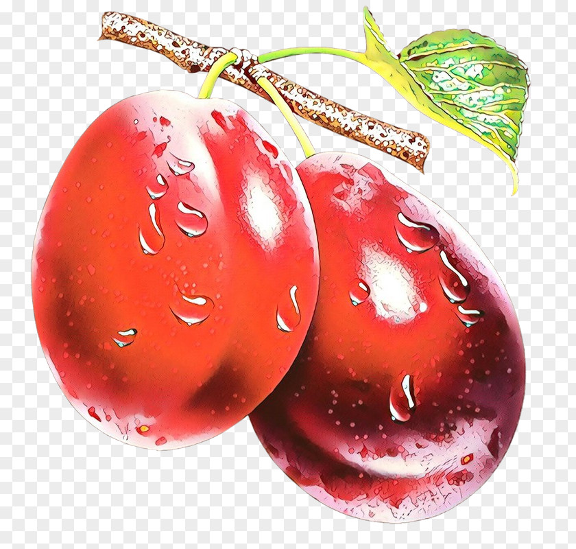 Christmas Ornament PNG