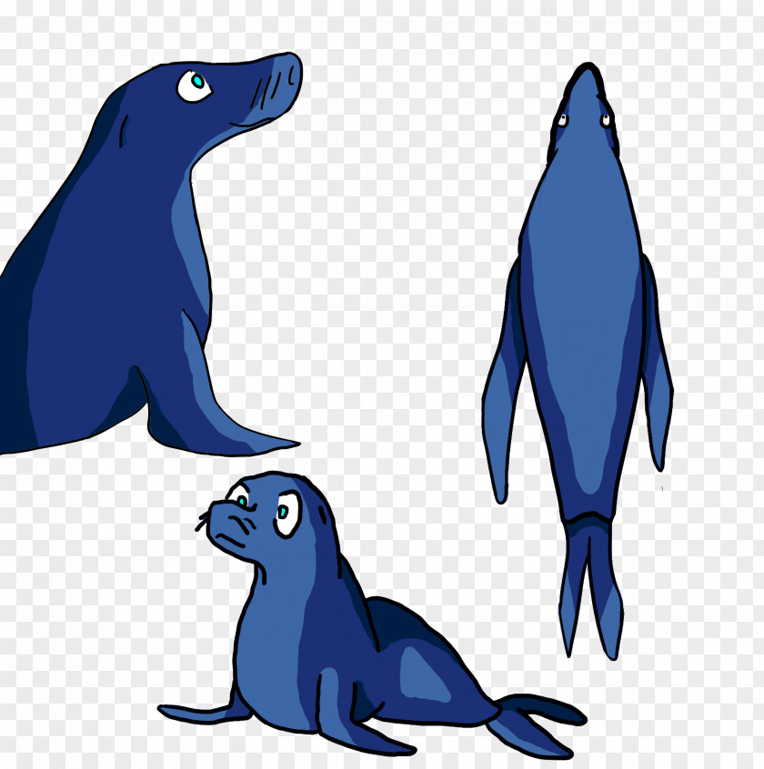 Dolphin Sea Lion Penguin Killer Whale Bird PNG