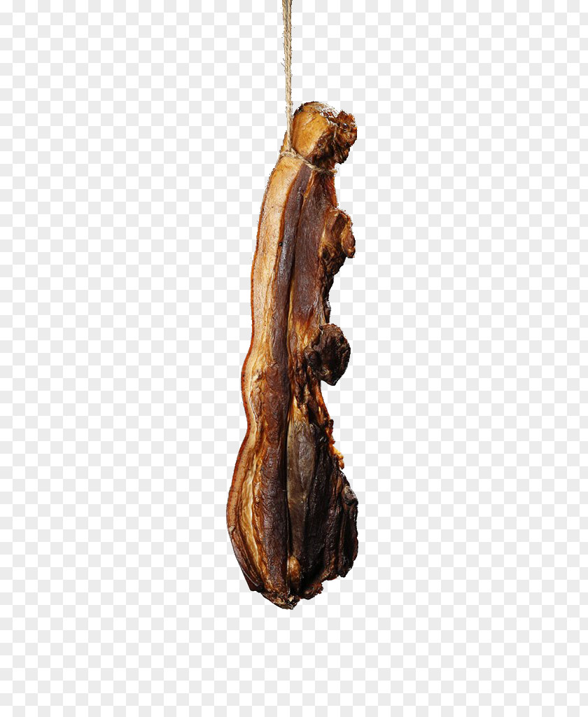 Hanging Bacon U8b1du7ae5 Childrens Day PNG
