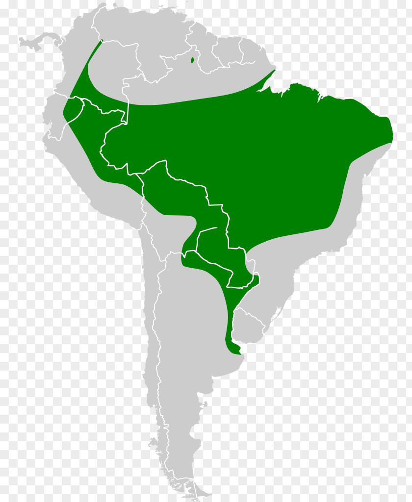 Map South America United States Of Globe PNG