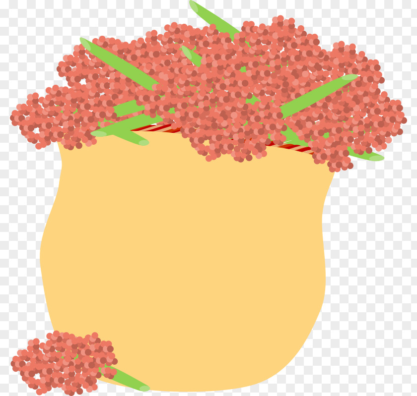 African Plants Floral Design Pattern Superfood Fruit PNG