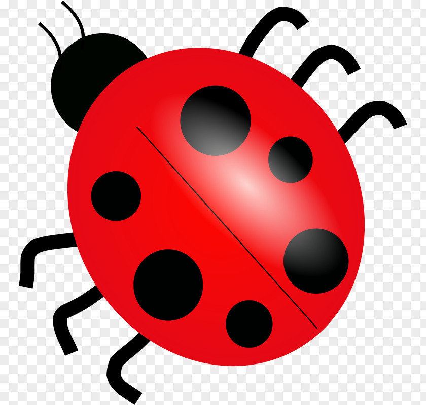 Beetle Cliparts Ladybird Drawing Clip Art PNG
