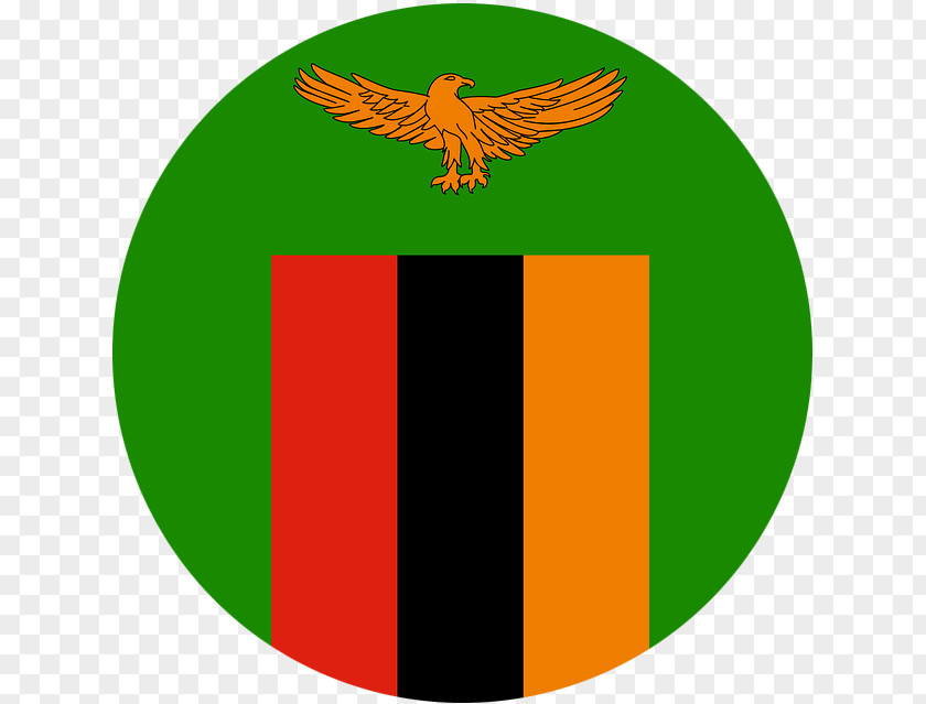 Flag Of Zambia Football Association Green Logo PNG