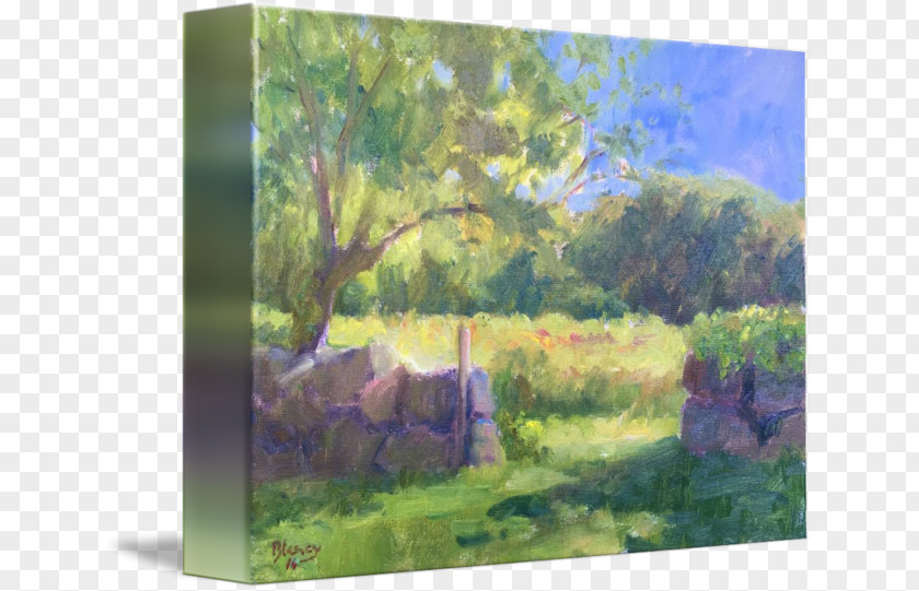 Painting Watercolor Nature Ecosystem PNG