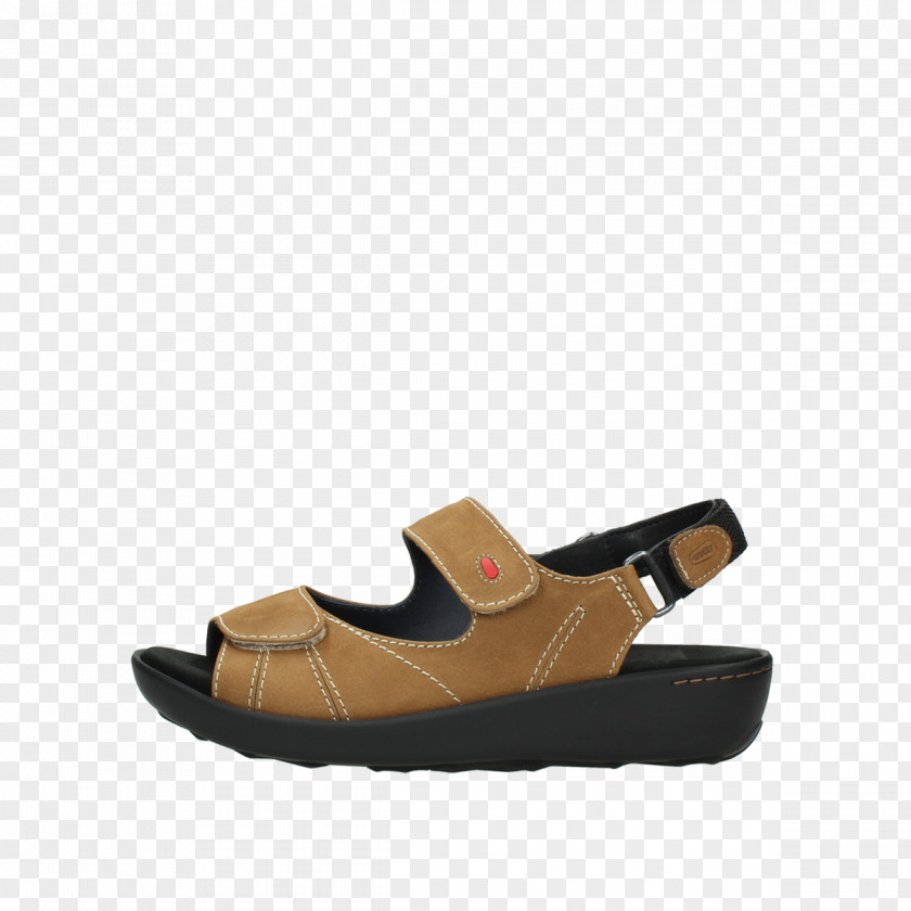 Sandal Shoe PNG