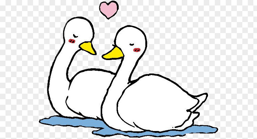 White Swan Cygnini Mandarin Duck Cartoon PNG