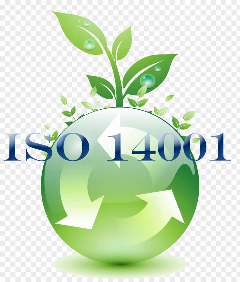Care For The Environment ISO 14000 Environmental Management System International Organization Standardization 9000 PNG