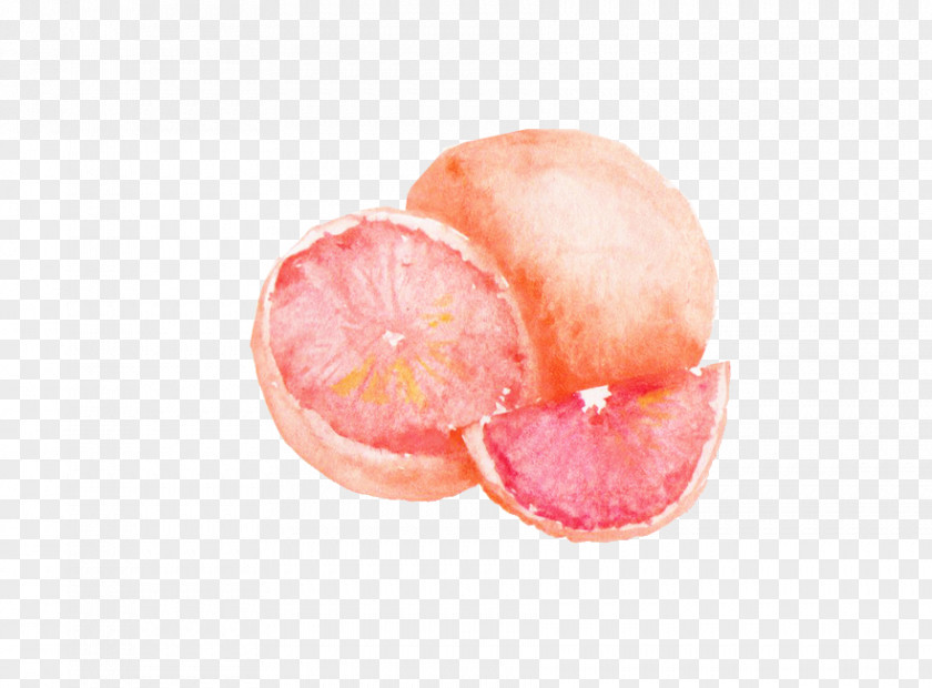 Grapefruit Still Life With Oranges Strawberry Greipfrutas PNG