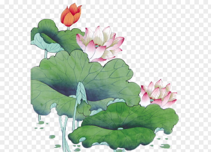 Hand-painted Lotus Watercolor Pond Static Variable Clip Art PNG