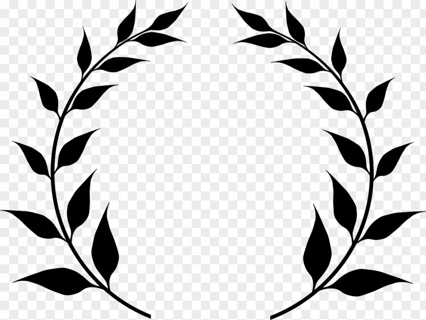 Leaf Bay Laurel Wreath Clip Art PNG