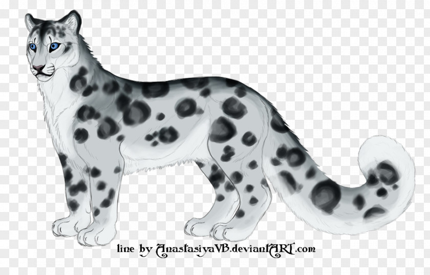 Leopard Whiskers Snow Cat Dog Breed PNG