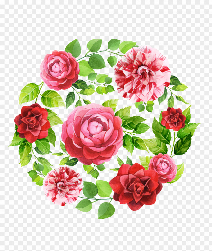 Oss Watercolor Garden Roses Image Flower PNG