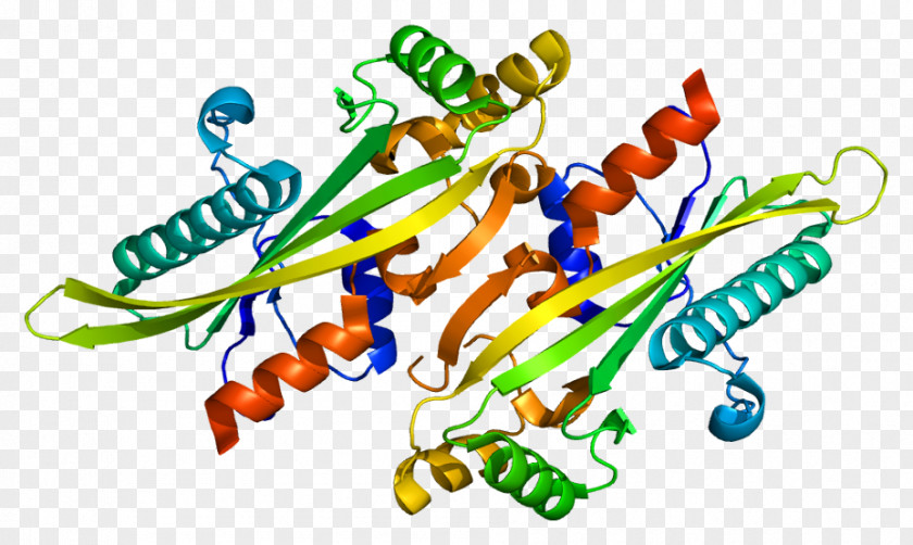 Protein Structure Gene Wiki Enzyme PNG