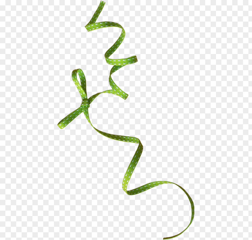 Ribbon Green PNG