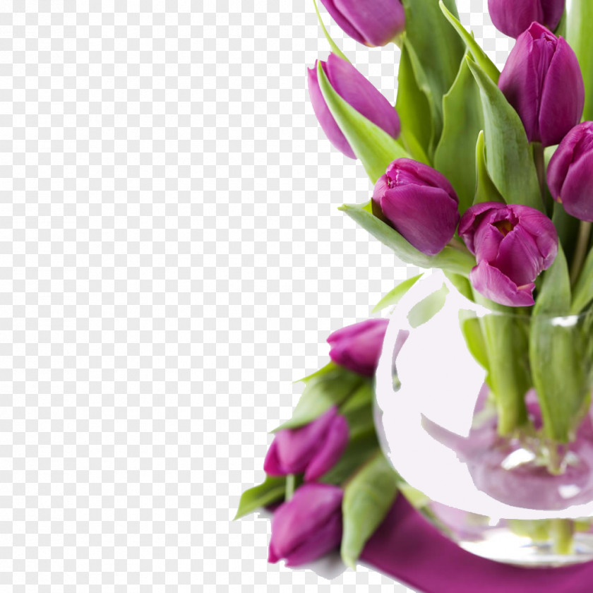 Purple Tulips Tulip Flower High-definition Video Wallpaper PNG