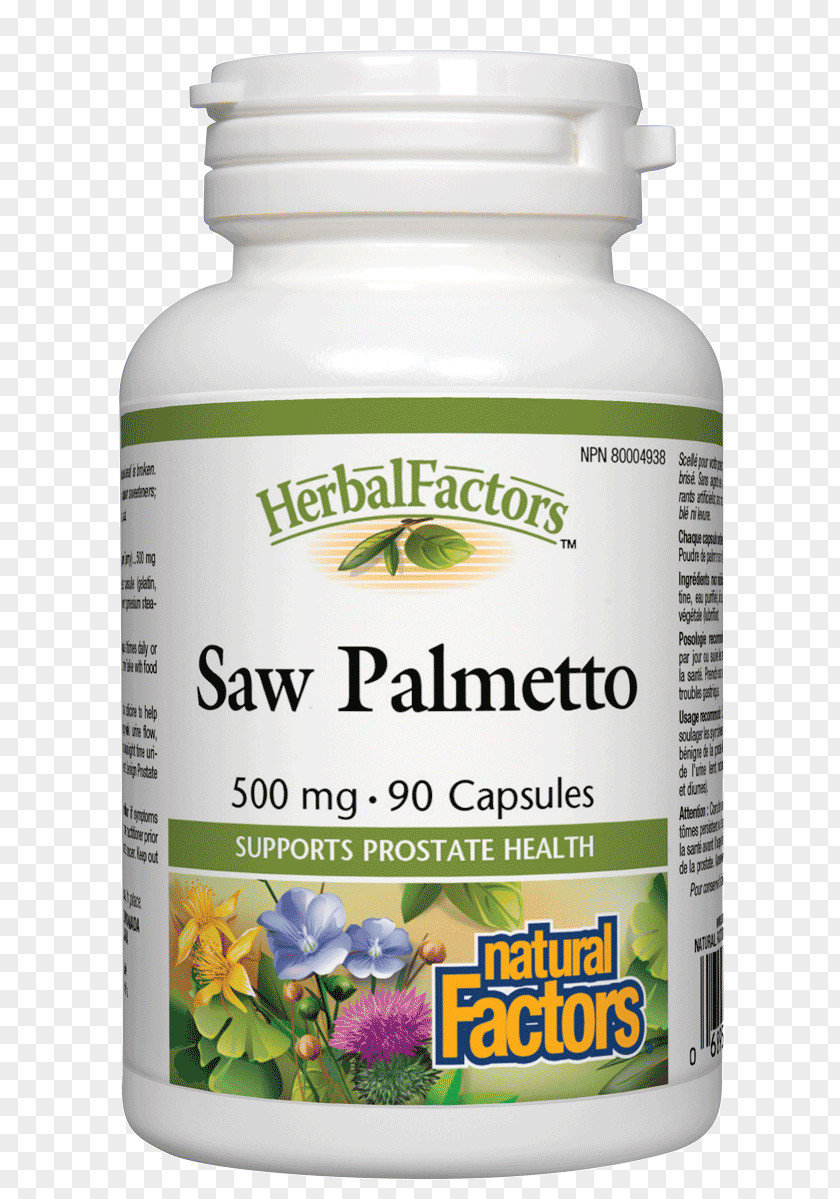Saw Palmetto Ginkgo Biloba Capsule Phytosome Vegetarian Cuisine Herb PNG